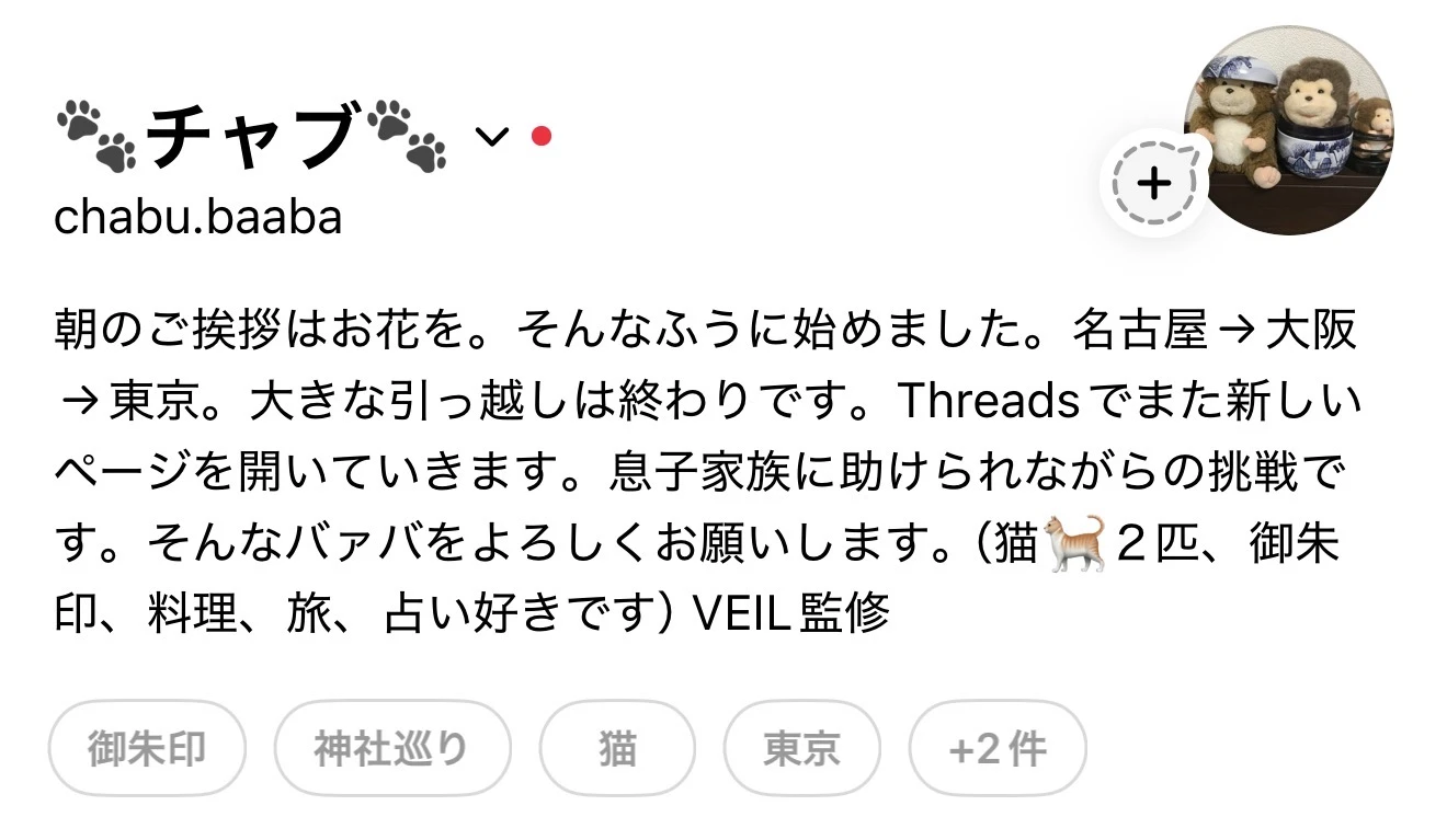 チャブばあばのThreadsプロフィール -- 御朱印・神社巡り・猫・料理好きのVEIL監修者